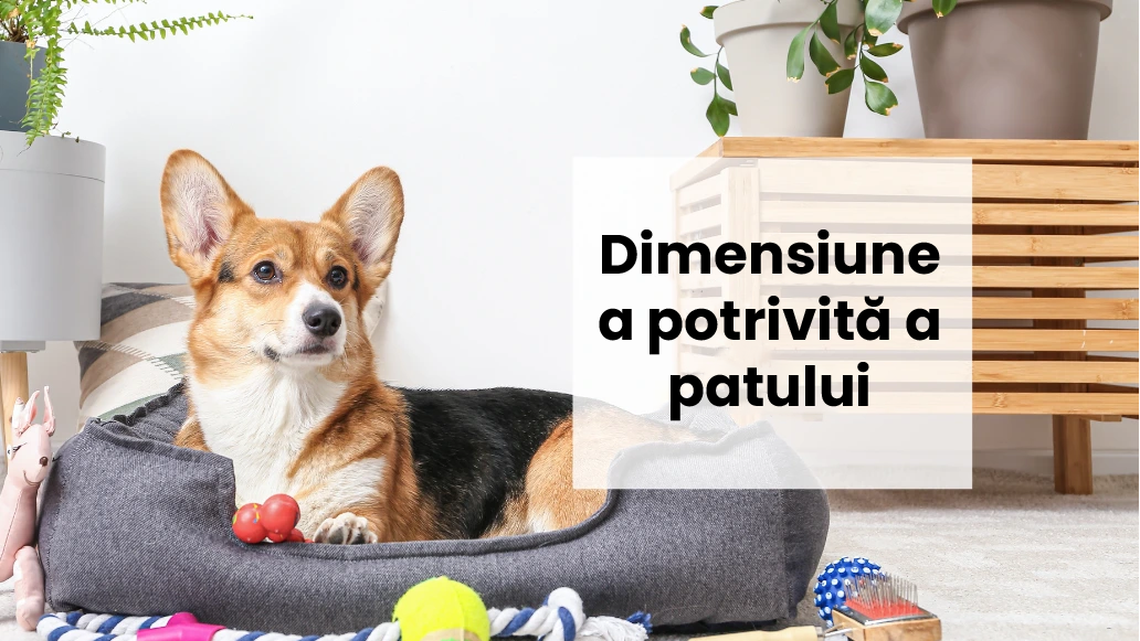 pelech_velkost_ro